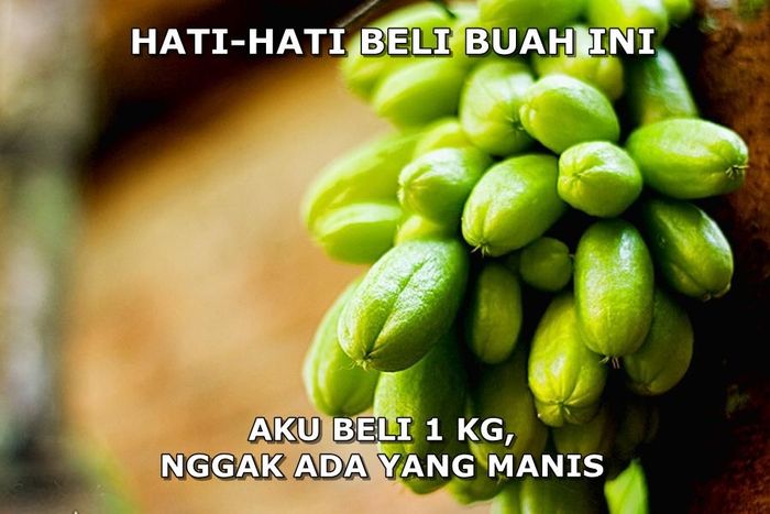 Meme Kocak Soal Buah Ini Dijamin Bikin Segar dan Ngakak